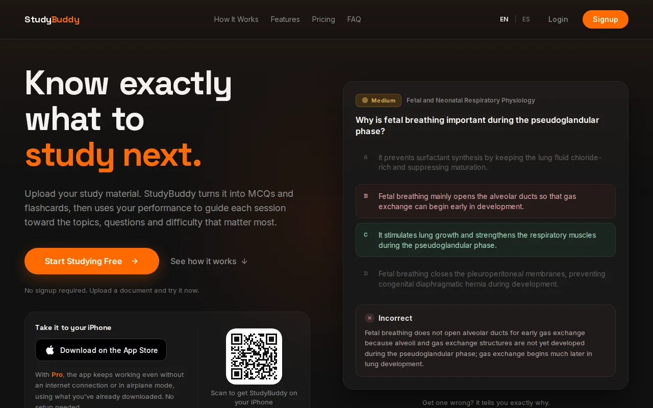 Screenshot of the Quizessa website